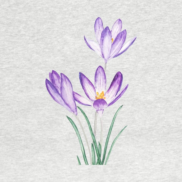 purple crocus flower watercolor by colorandcolor